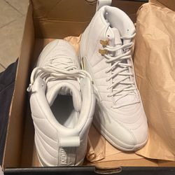 Jordan 12s phantom