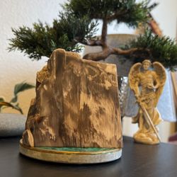 Polished Petrified Wood (Crystals) $40