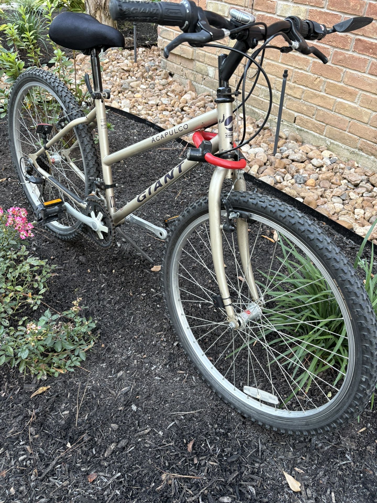 Giant 21 Speed Bike (Map Me 1st)