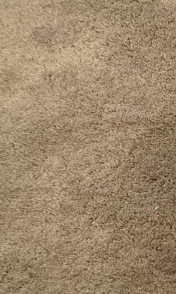 iPhone 5 & iPhone 5c