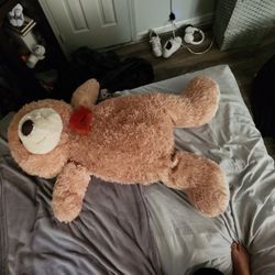 Big Teddy Bear