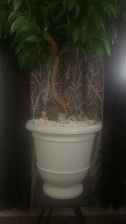 Fake Plant
