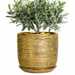 New Beautiful SUNPOTFOR 8 Inch Plant Pot - Ceramic Planter with Drainage Hole and Saucer, Modern Round Planter for Indoor Flowers, Gifts for Plant Lov