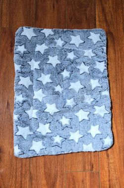 19" x 14" Pet Bed Mat