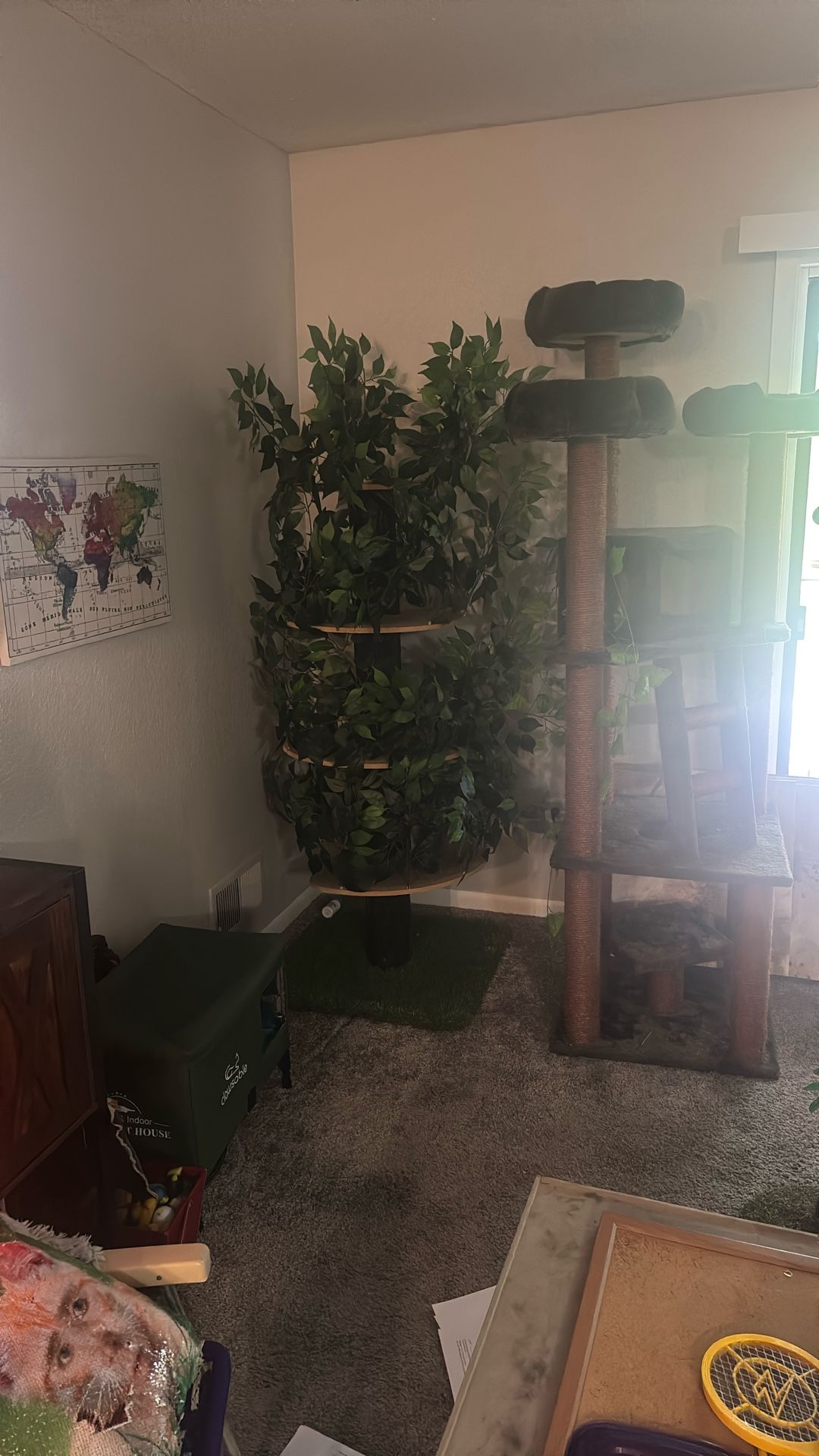 New Chewy Brand Cat Tree