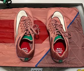 Track shoes