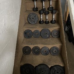 Weights 