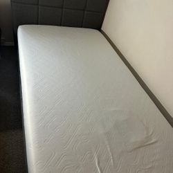 Twin size bed frame + matress 