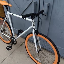 59cm.       FIXIE.       Golden 