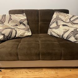 Pull Out Sleeper/ Love Seat