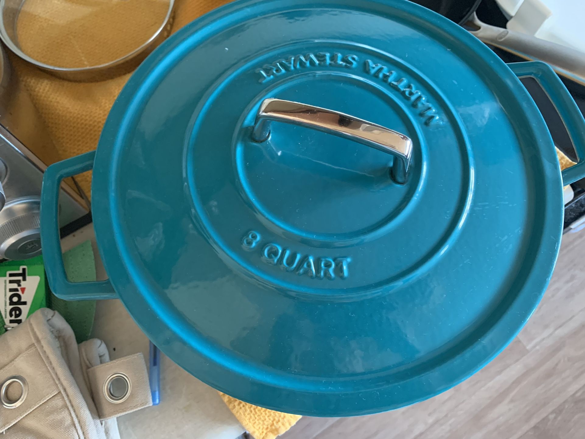 Martha Stewart 8 Quart Cast Iron Pot