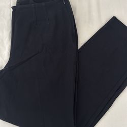 Navy blue pants