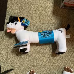 Jumbo Graduation Autograph Hound