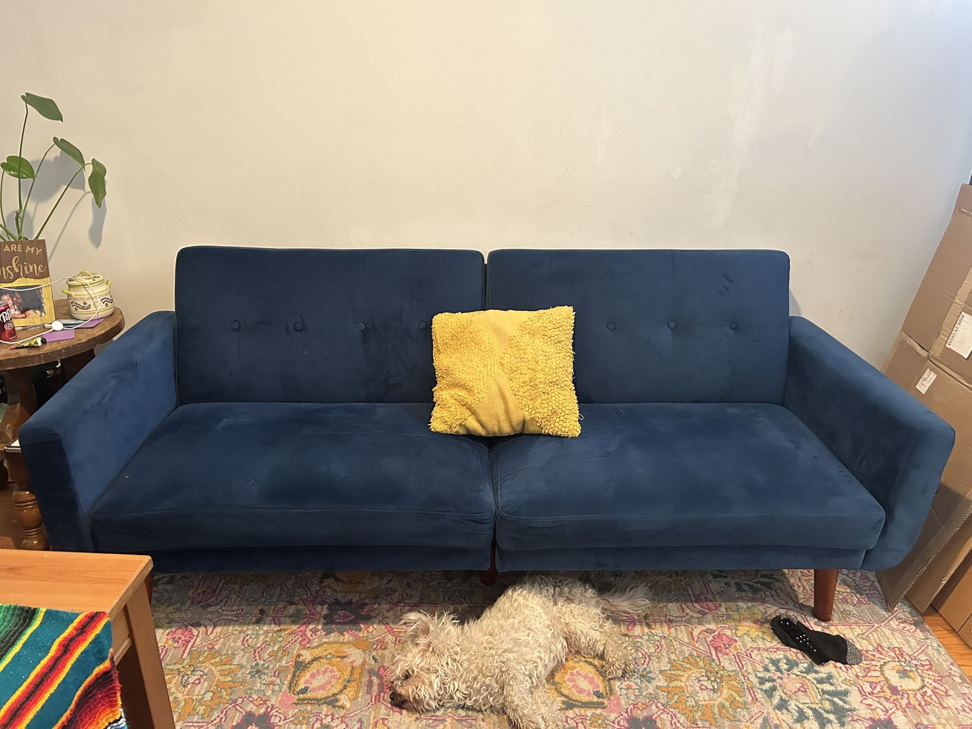 Blue Velvet Futon (Pilow/Dog NOT included)