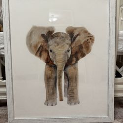 Elephant Print 