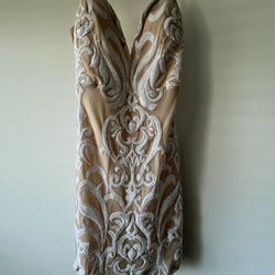 Nude/ White Embroidery Bodycon Mini Dress 