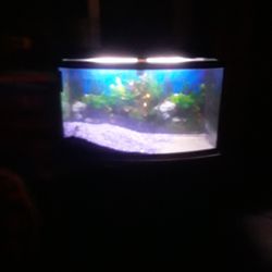 Fish Tank And Stand 7