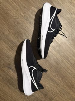 Air Zoom Pegasus 39