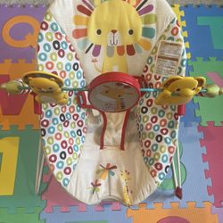 Infant Baby Bouncer