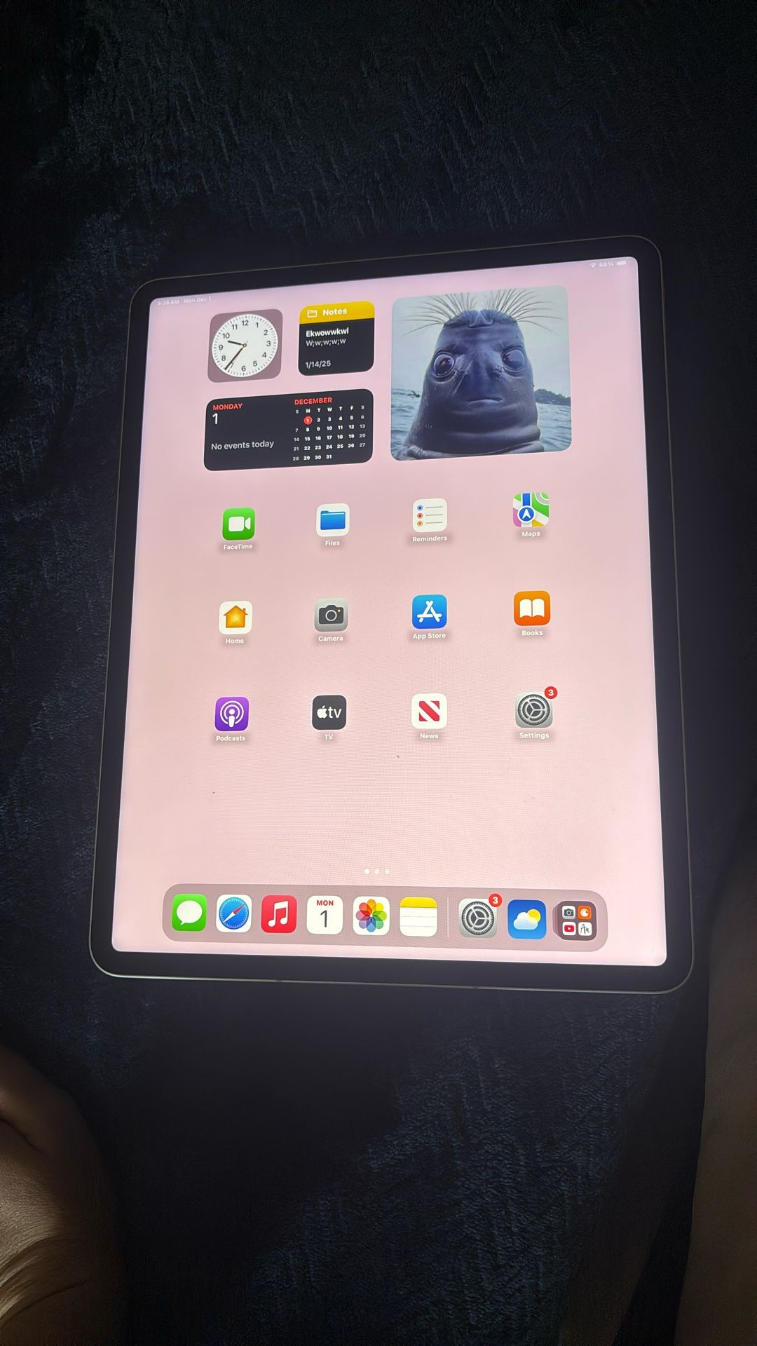 iPad Pro 256gb 12.9 Inch 
