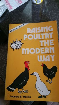 Raising poultry the modern way.