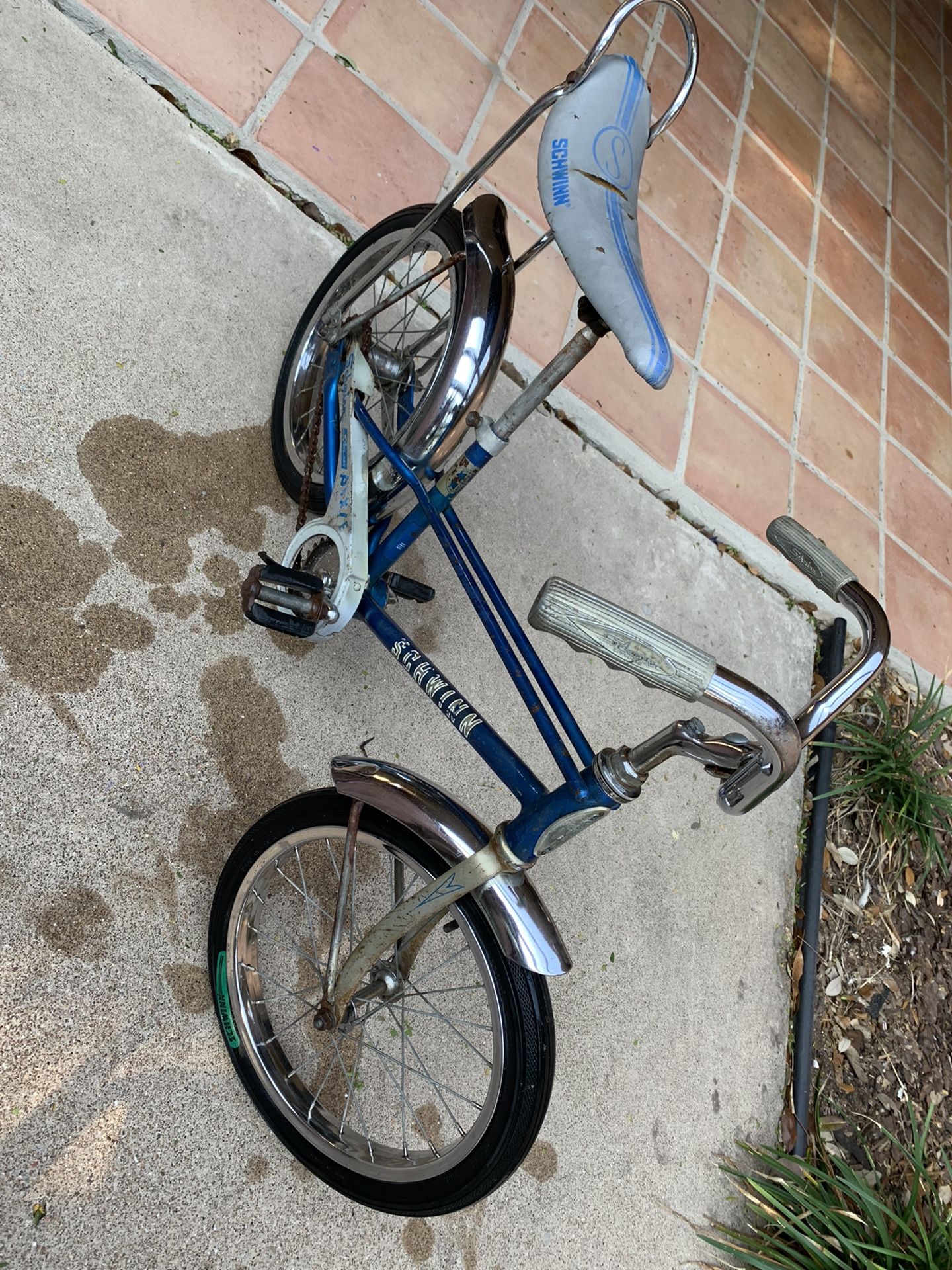 schwinn pixie tires
