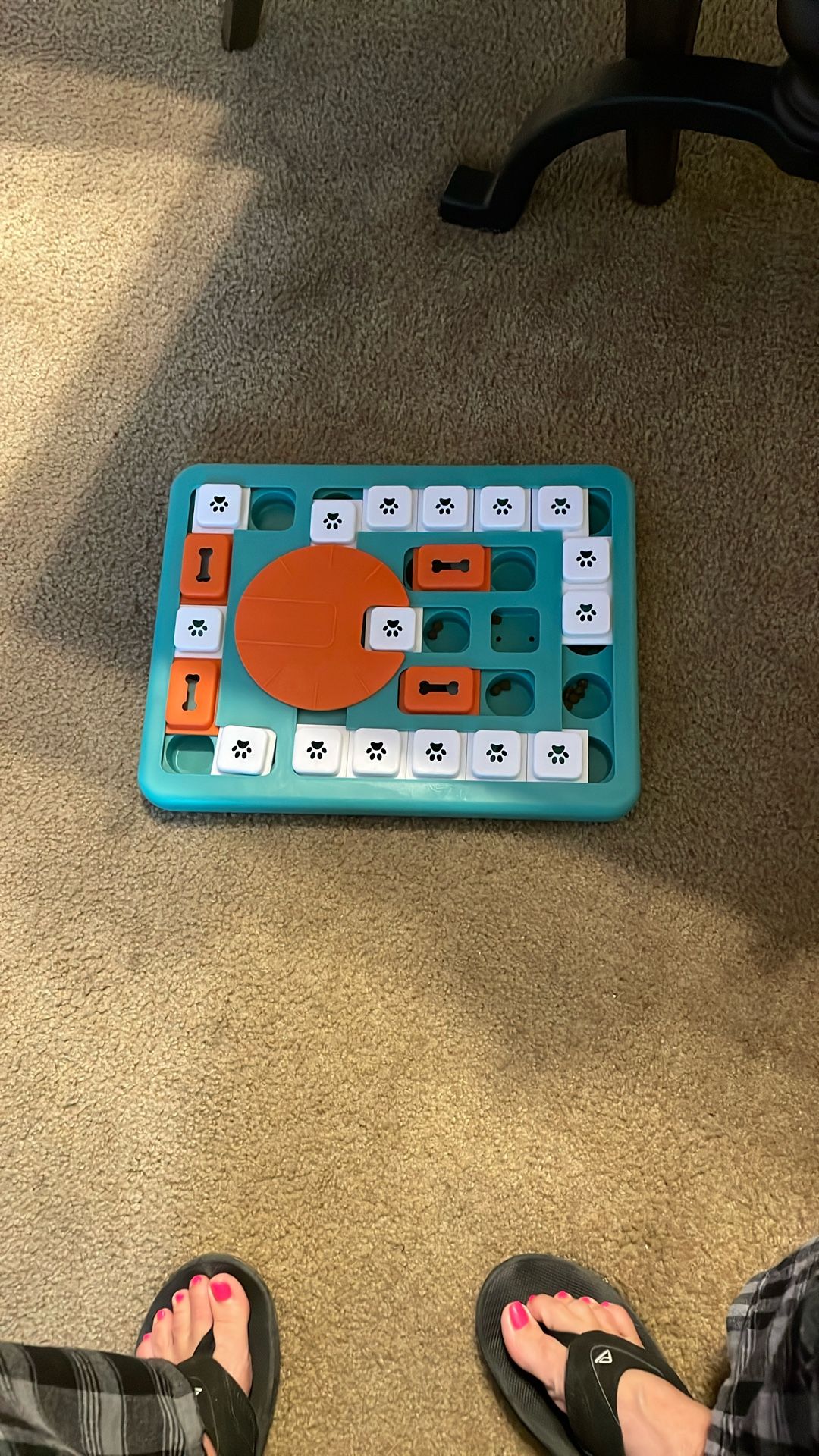 Dog activity feeder stage four