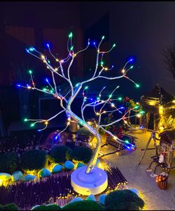 LED Sparkly Fairy Spirit Tree Lamp with Remote Control, Bonsai Tree Lights, DIY Artificial Tree Lamp for Lighting Bedrooms Living Room Desktop Chris