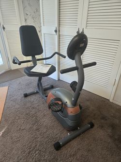 Recumbent Bike