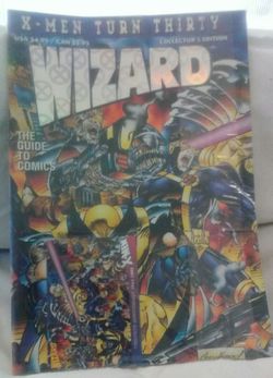 Wizard the guide to comics
