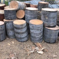 Palm Tree Stumps