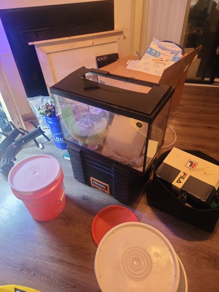 20 Gal Fish Tank