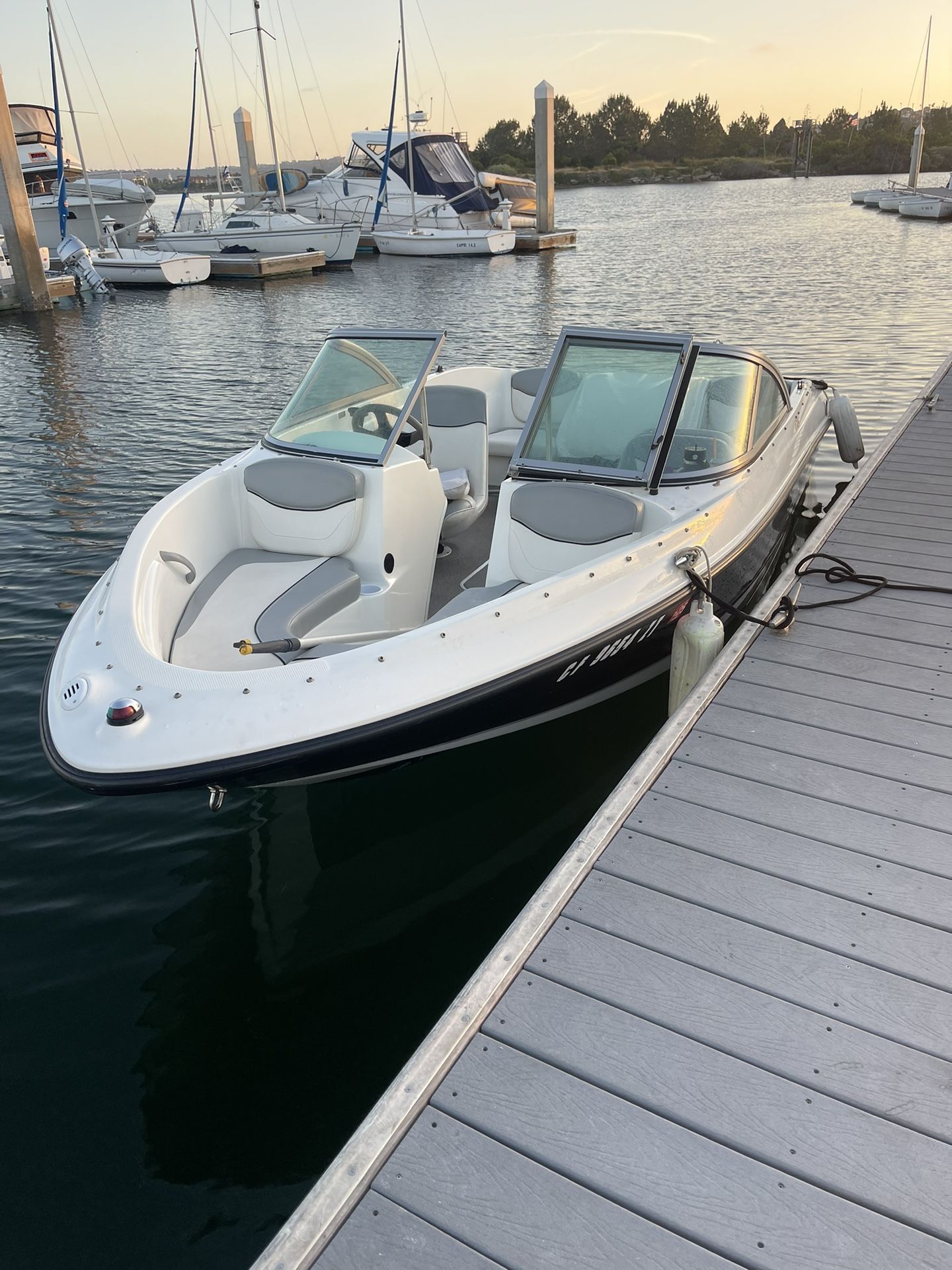 2011 Bayliner 175