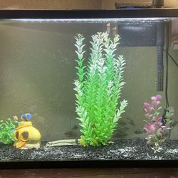 Fish Tank 36 Gallon