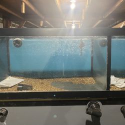 Aquariums Or Fish Tank 35 Gallon for Sale in Plainfield, IL - OfferUp
