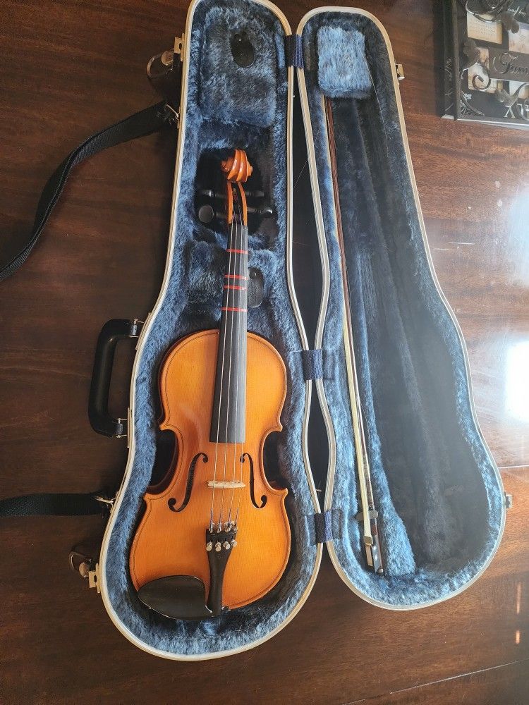 Viola