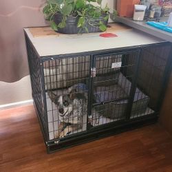Kennel 