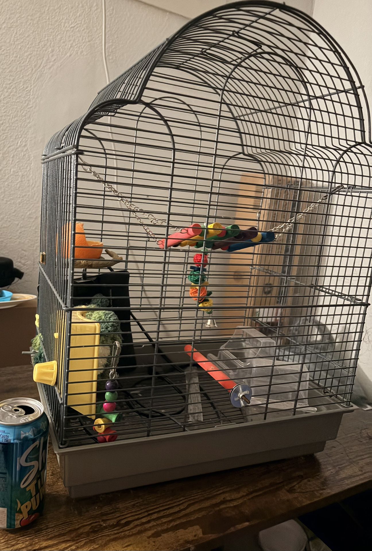 Bird Cage W Accessories 