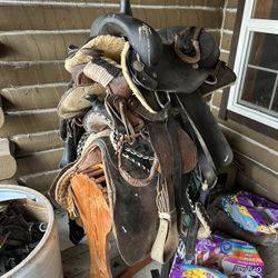 Saddle