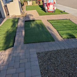 Landscape Turf Grass $25 Each