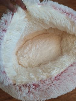 Pet bed
