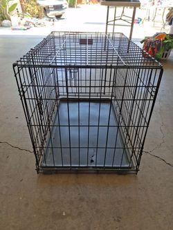 Dog Gage medium  $ 30.00  OBO