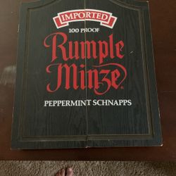 Ruleman Dart board case