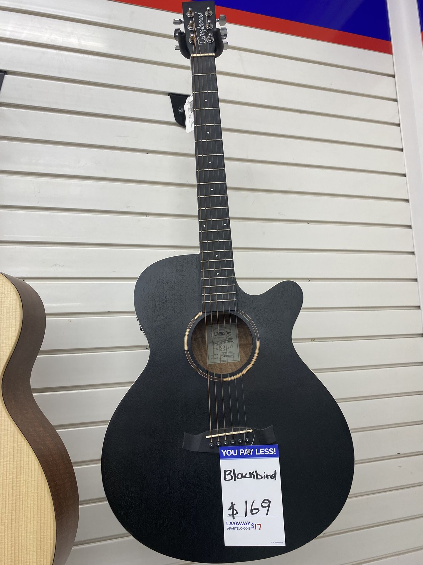 Blackbird Guitar
