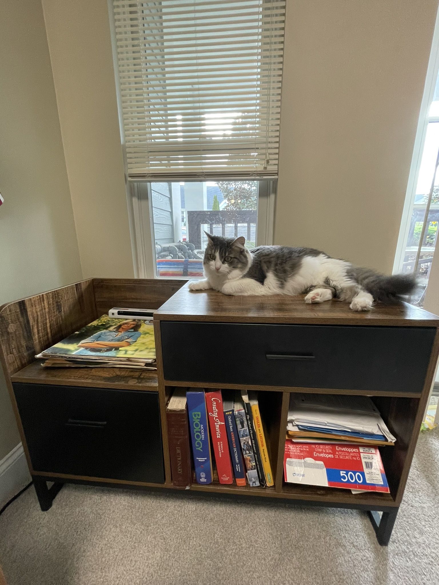 office cabinet