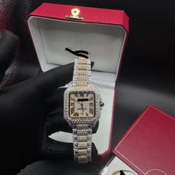 Mossainte Cartier 