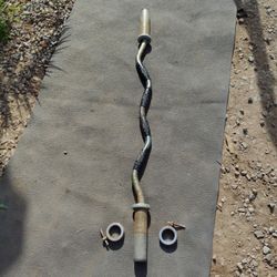 Hampton "Bulldog" Curl Bar