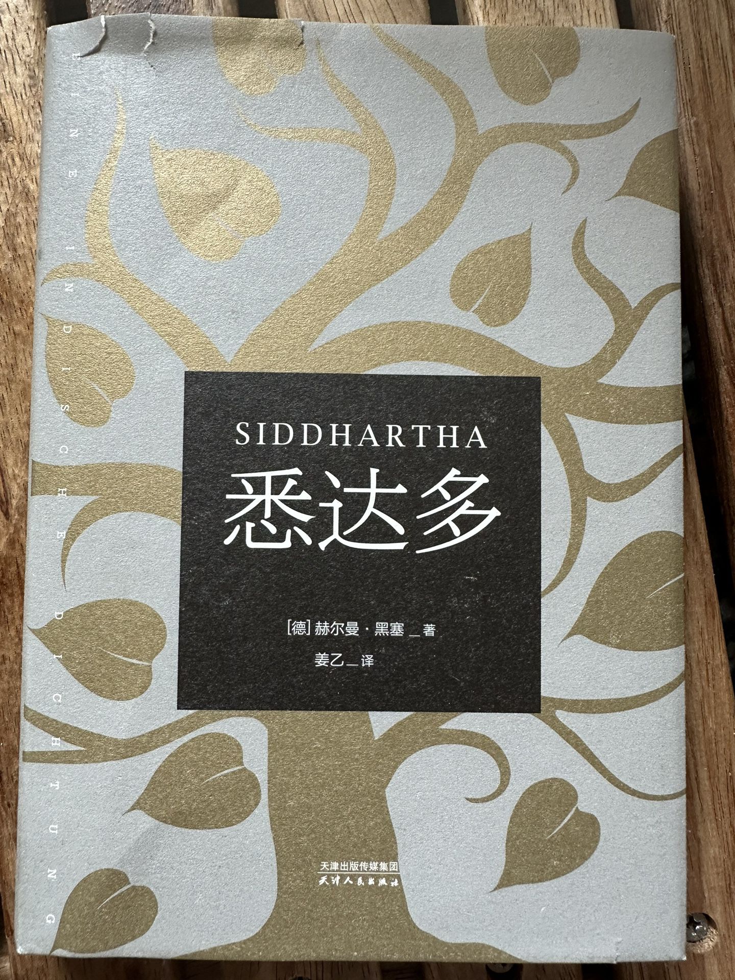 中文书 悉达多 【德】赫尔曼· 黑塞 _ 著 Siddhartha by Hermann Hesse - Chineses Edition