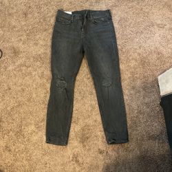 H& M Pants