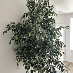 7 1/2 Foot Artificial Tree